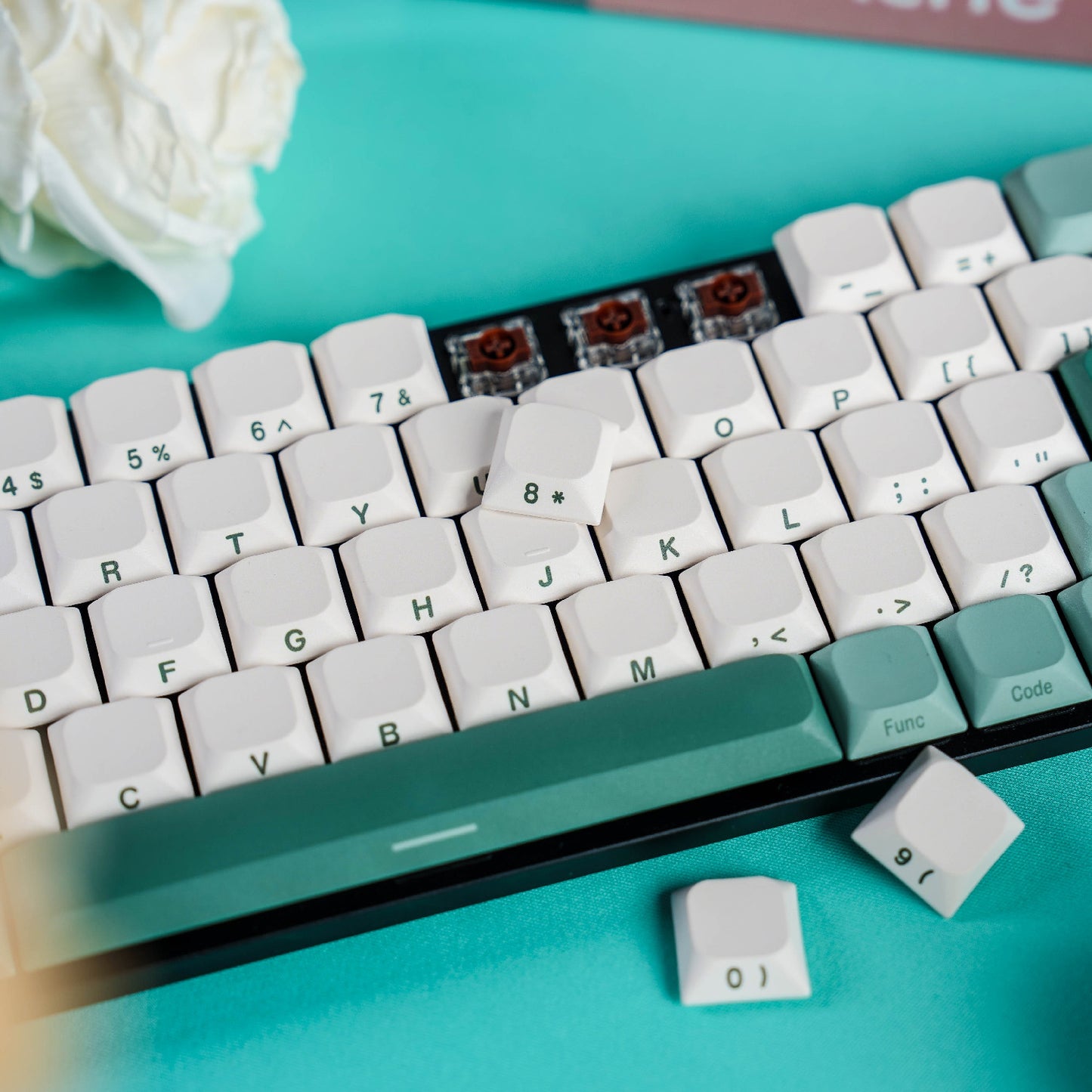 GATERON 로우 프로파일 PBT 키캡 세트 네이처 시리즈
