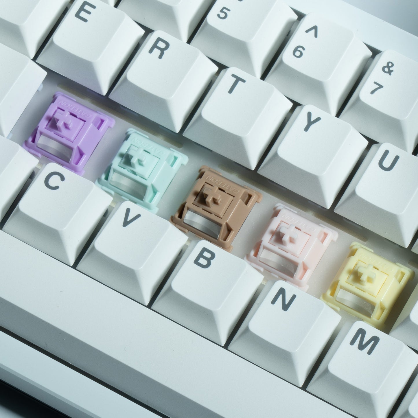 GATERON Full POM Smoothie Switches Party Set
