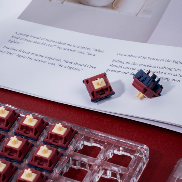 GATERON Quinn Tactile Switch Set