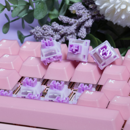 GATERON Magnetic Orchid HE Switch Set