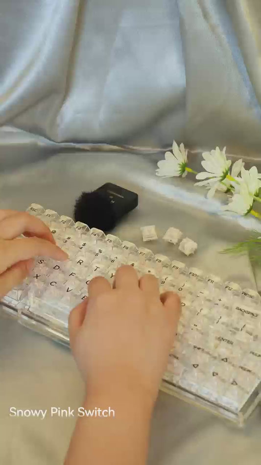 UKEEBS X GATERON Snowy Series switch Set